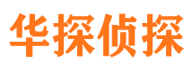 江洲市私家侦探